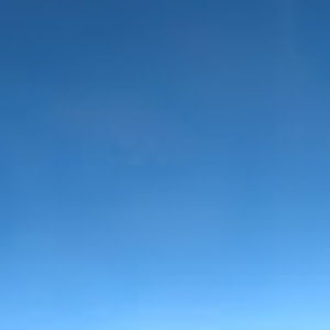 Meet your Posher, Trevor